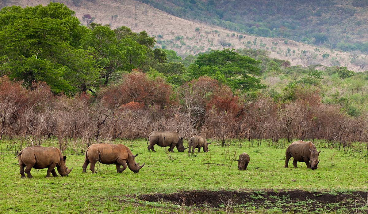 ngorongoro74